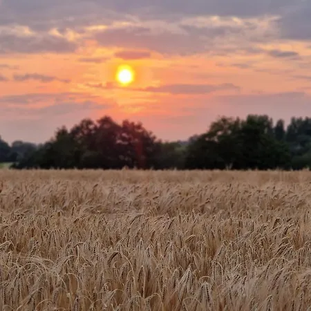 Meuble 5* Au Gre Des Saisons La Baconniere