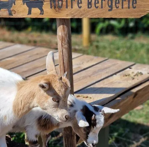 펜션 Meuble 5* Au Gre Des Saisons *