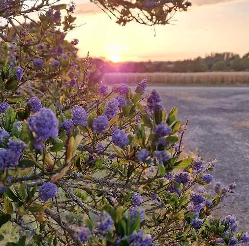 Meuble 5* Au Gre Des Saisons 펜션 *