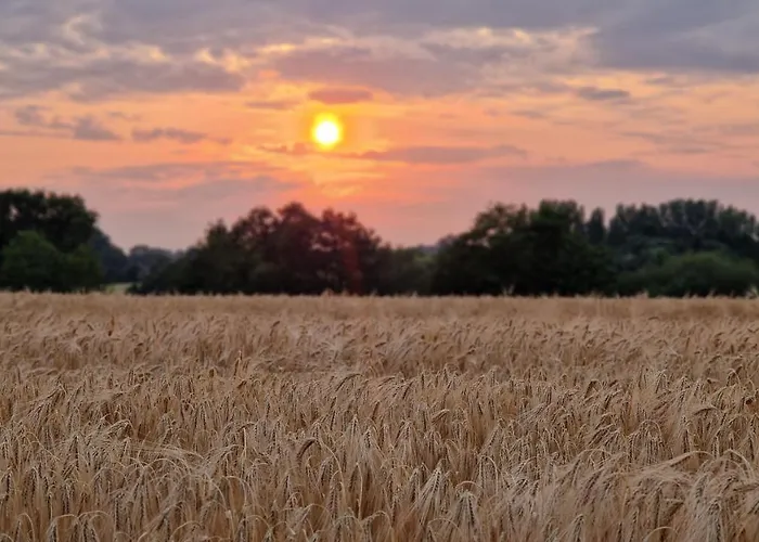 Meuble 5* Au Gre Des Saisons La Baconniere